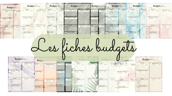 fiche budget