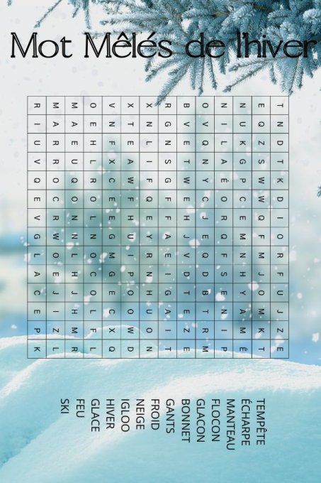 Défi des mots mêlés 