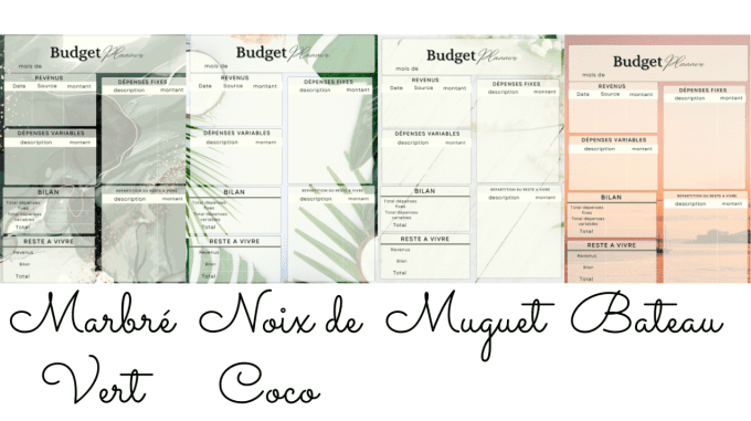 fiche budget