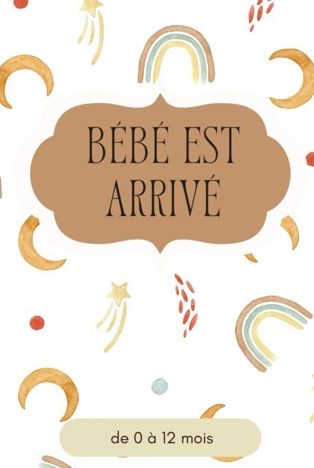 Bébé est arrivé - Le journal des 12 premiers mois de bébé