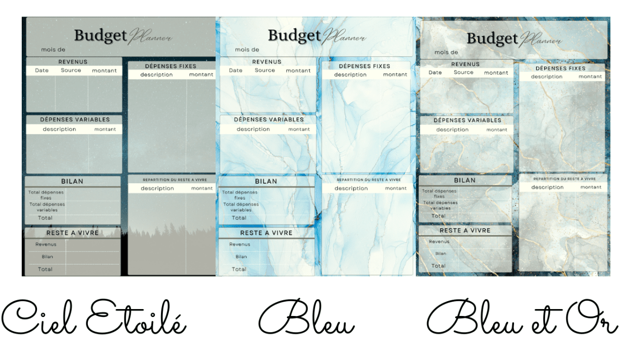 fiche budget - Budgetisercooperer