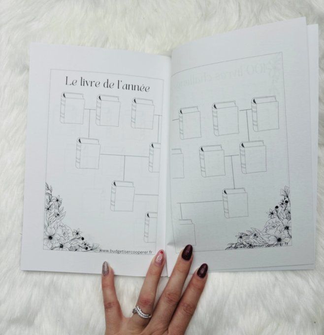 Ma box de lecture 