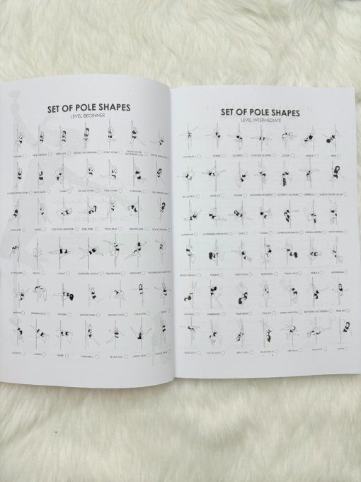 Carnet de Pole dance - suivi par mois des entraînements et réussites pour l'année 2025