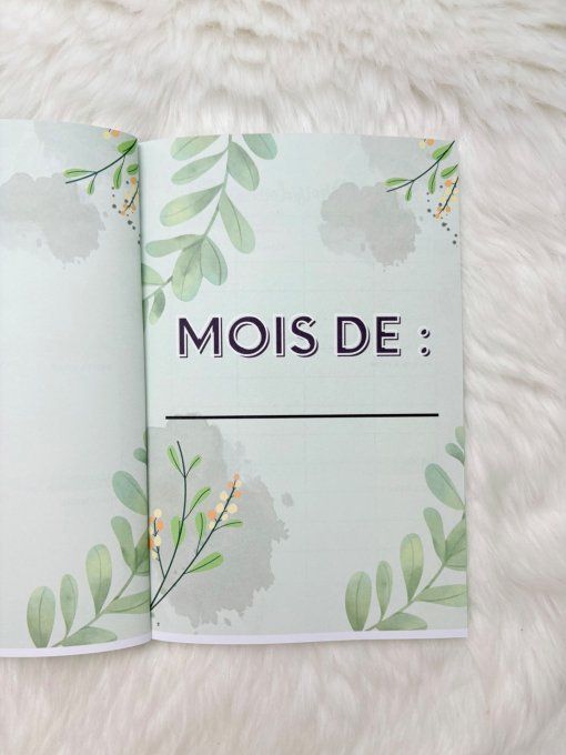 Le budget journal 12 mois printemps