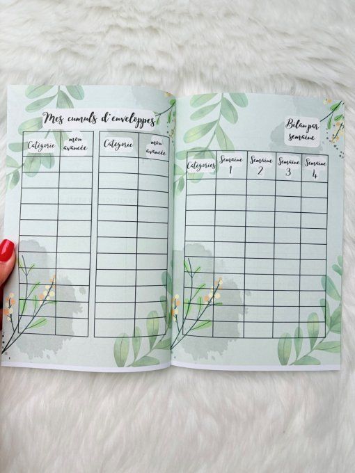 Le budget journal 12 mois printemps