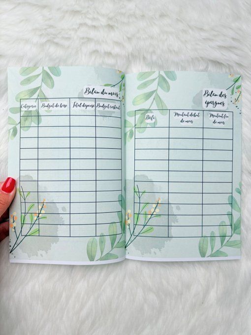 Le budget journal 12 mois printemps