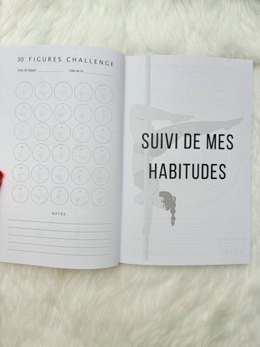Carnet pole dance non daté