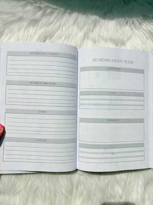 Bébé est arrivé - Le journal des 12 premiers mois de bébé