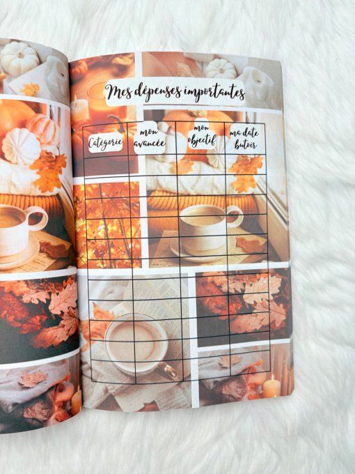 Le budget journal 12 mois Automne