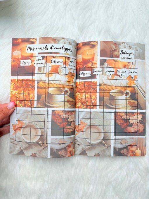 Le budget journal 12 mois Automne