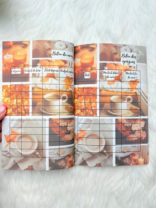 Le budget journal 12 mois Automne
