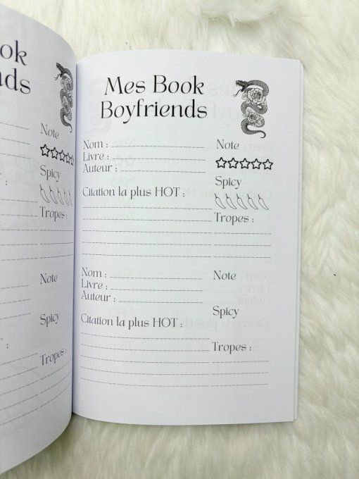 Carnet de lecture 6 mois