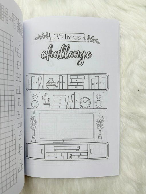 Carnet de lecture 6 mois