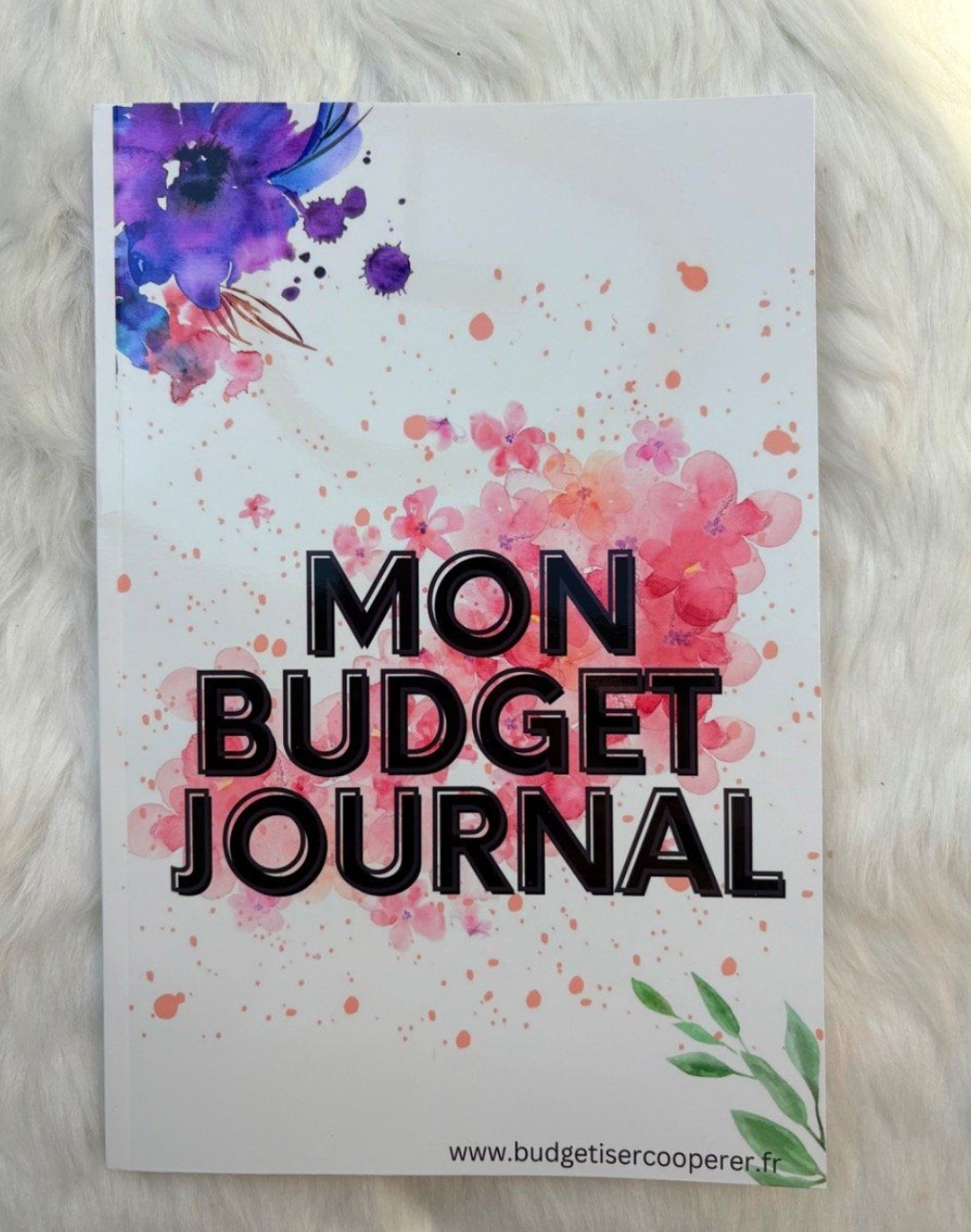 Le budget Journal 18€