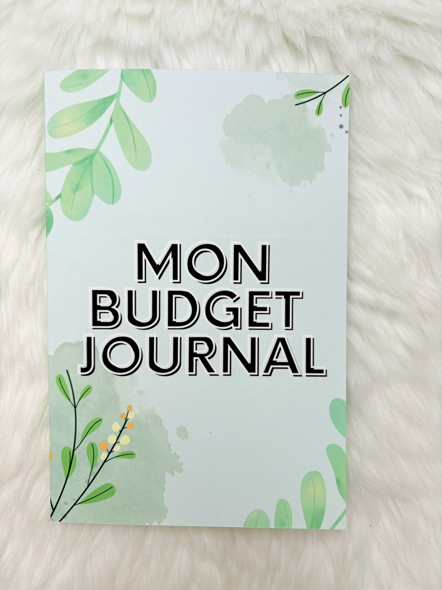 Le budget Journal 18€